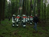 Maibaum_2016 (10).JPG